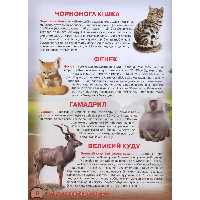 Кристал бук, Ілюстрований атлас живої природи,Ілюстрований атлас живої природи