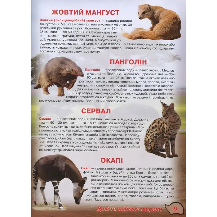 Кристал бук, Ілюстрований атлас живої природи,Ілюстрований атлас живої природи