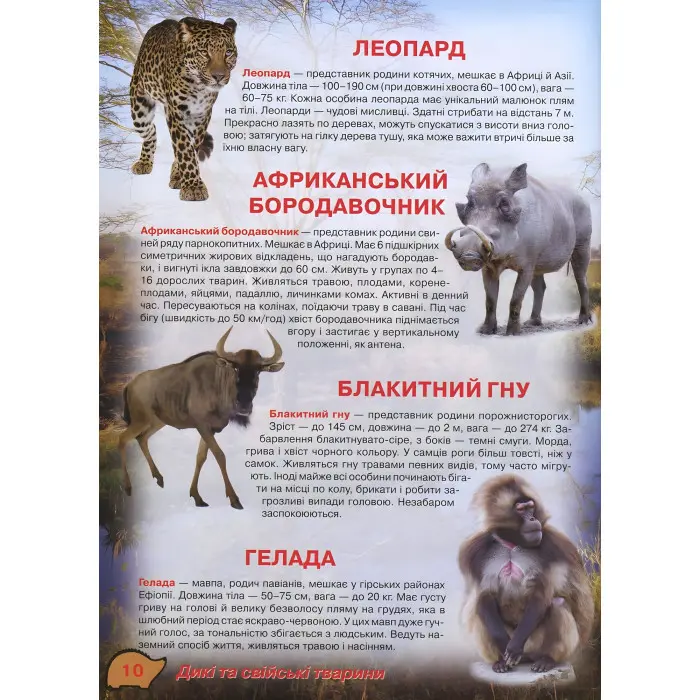 Кристал бук, Ілюстрований атлас живої природи,Ілюстрований атлас живої природи