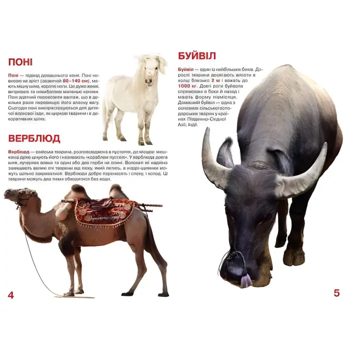 Кристал бук,Велика книжка. Свійські тварини.