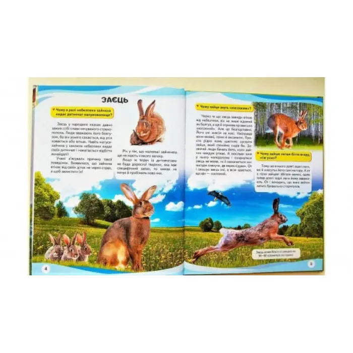 МАМИ ТА МАЛЮКИ тигр