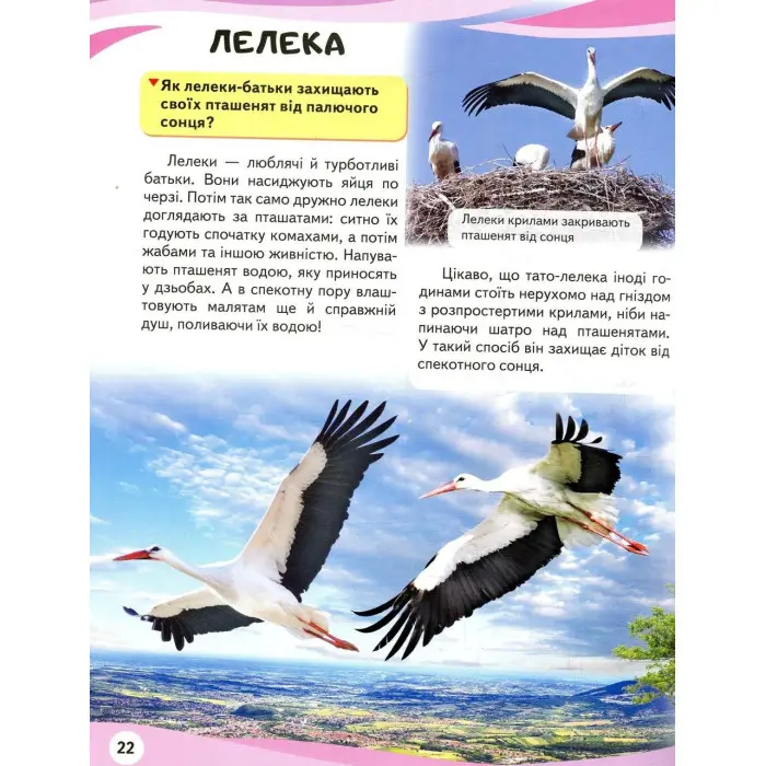 МАМИ ТА МАЛЮКИ тигр