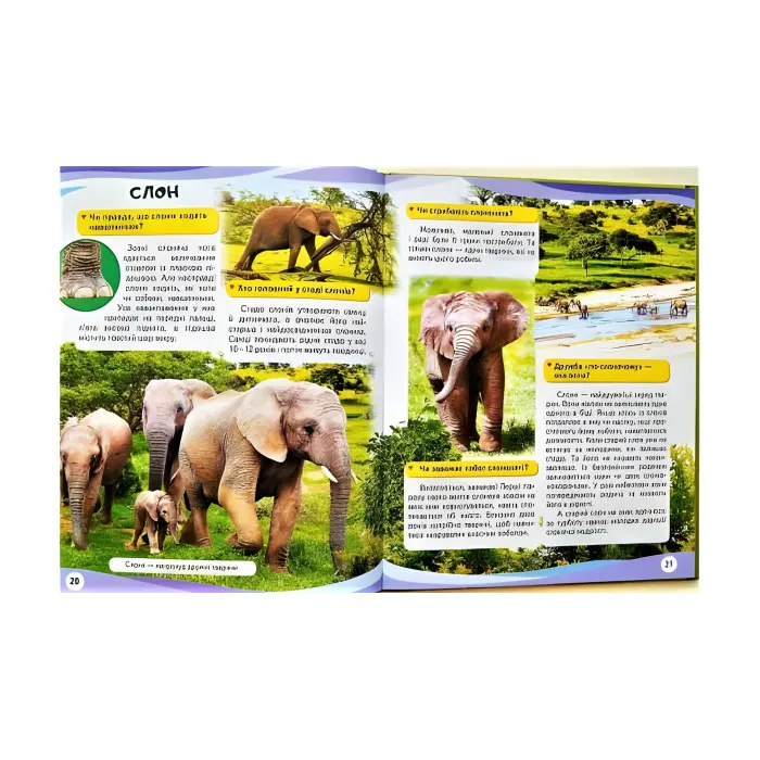 МАМИ ТА МАЛЮКИ тигр