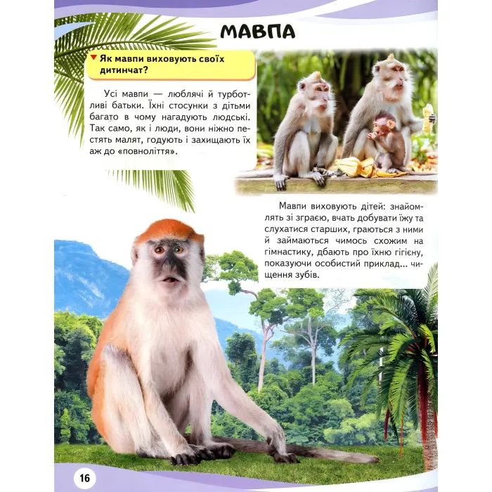 МАМИ ТА МАЛЮКИ тигр