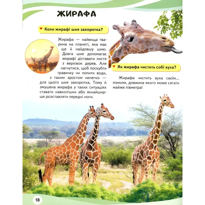 МАМИ ТА МАЛЮКИ тигр