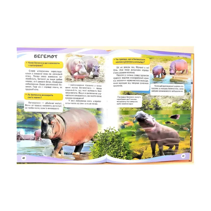 Мами та малюки. Ведмідь