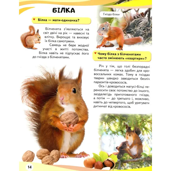 Мами та малюки. Ведмідь