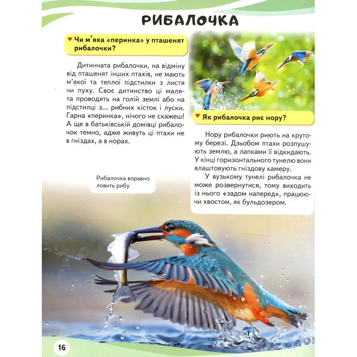 Мами та малюки. Ведмідь