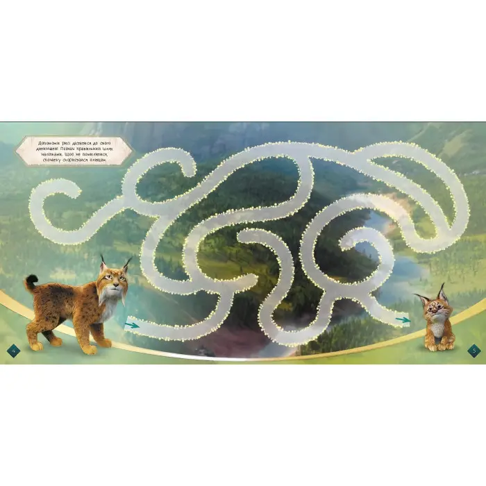 Мавка. Загадковий світ. Лабіринти з наліпками (Укр) (9786170989932)