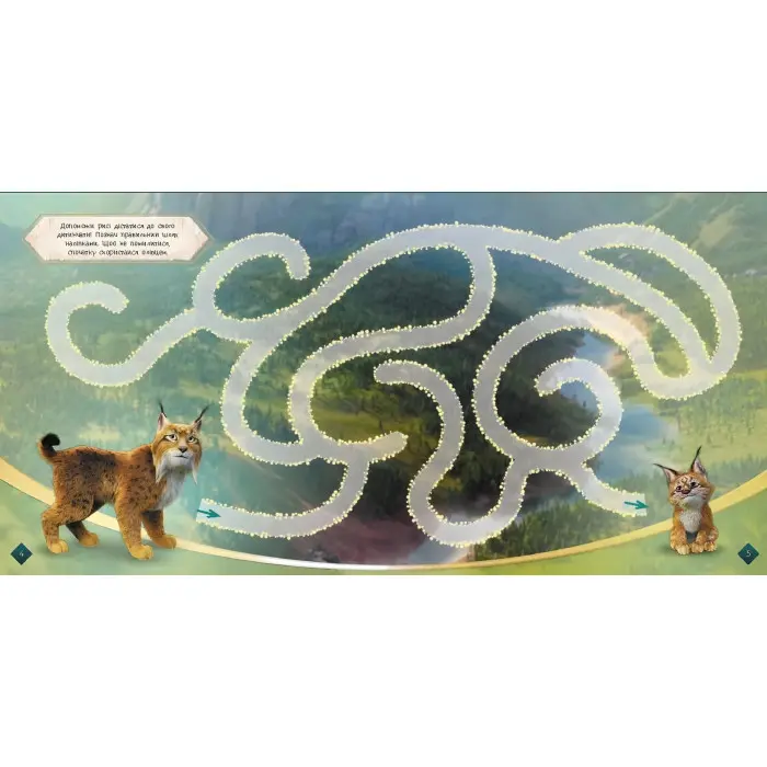 Мавка. Загадковий світ. Лабіринти з наліпками (Укр) (9786170989932)