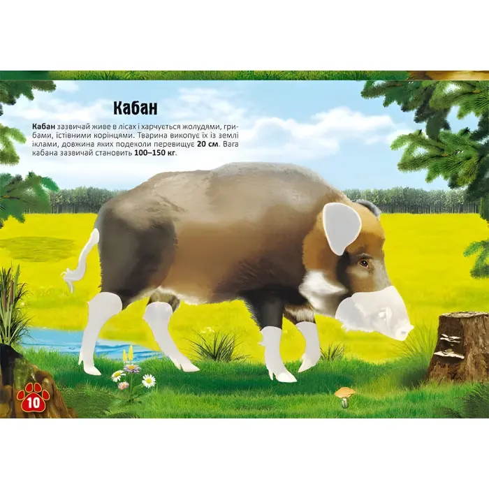 Меганаліпки. Тварини