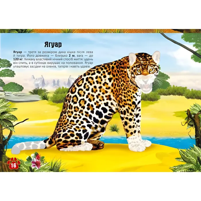 Меганаліпки. Тварини