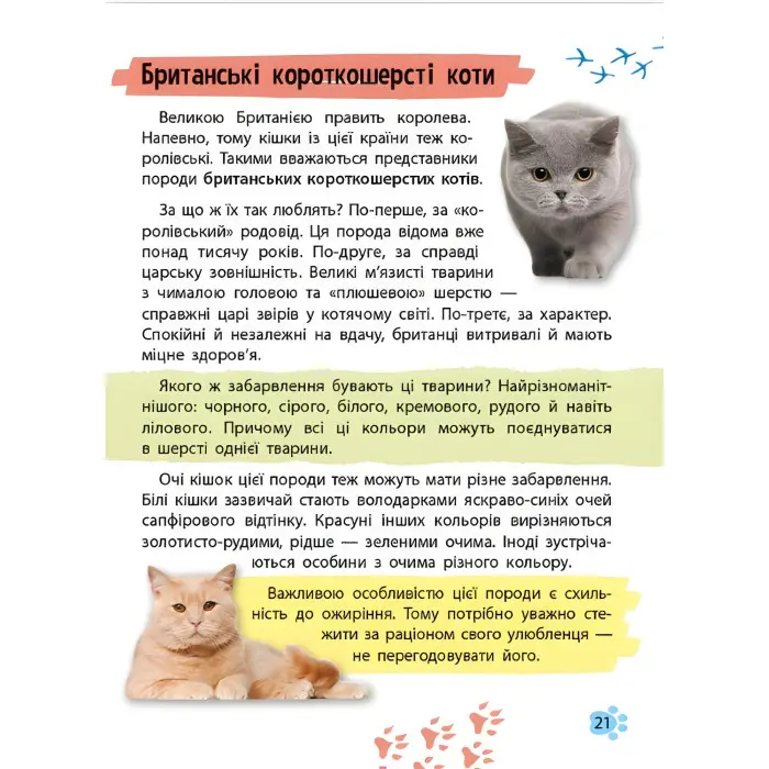 Мініенциклопедія. Хатні улюбленці