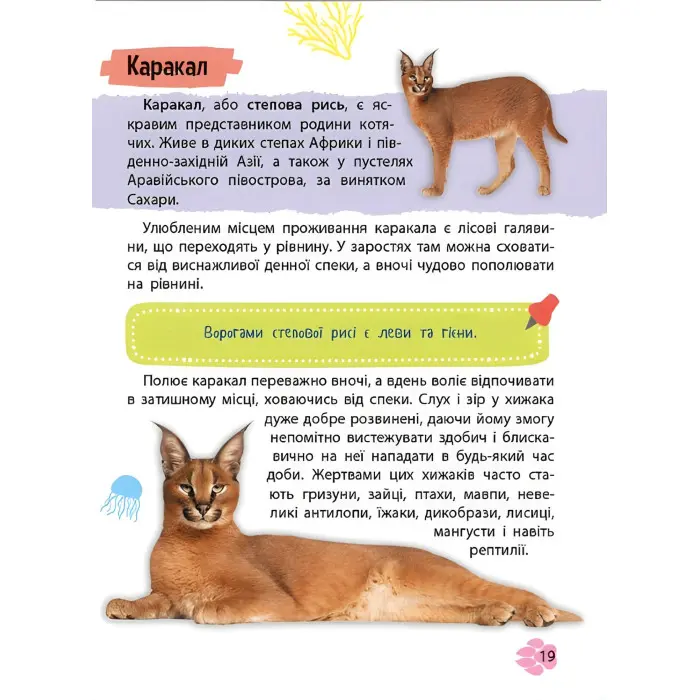 Мініенциклопедія. Тваринний світ