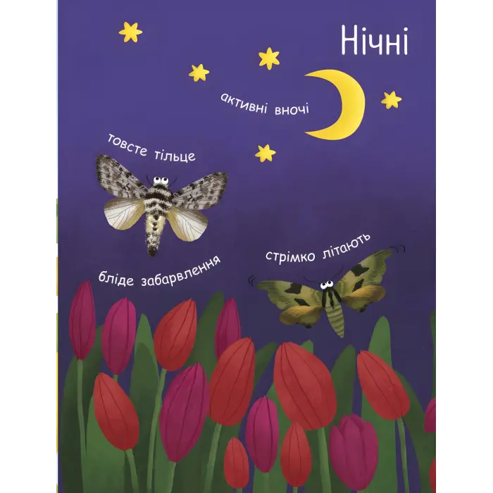 Моя перша енциклопедія. Як народжується метелик?