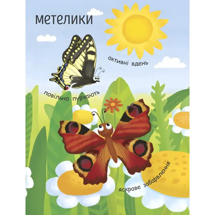 Моя перша енциклопедія. Як народжується метелик?