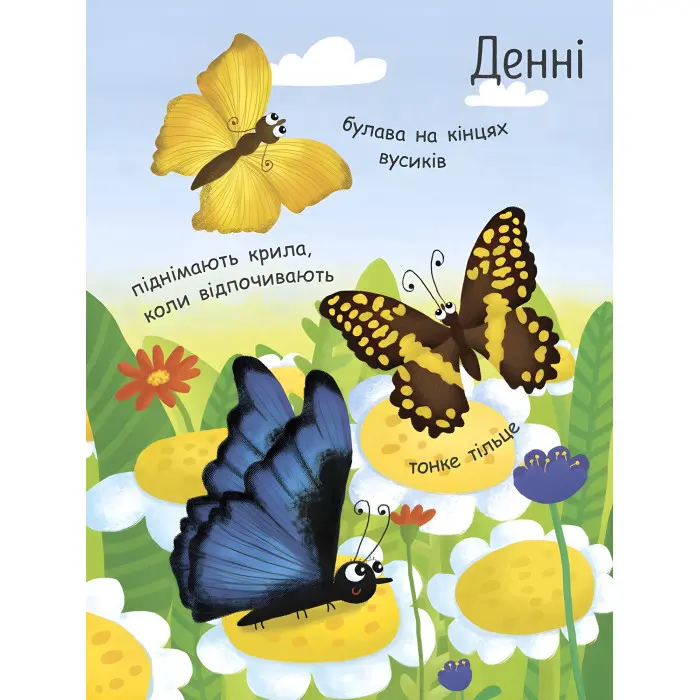 Моя перша енциклопедія. Як народжується метелик?