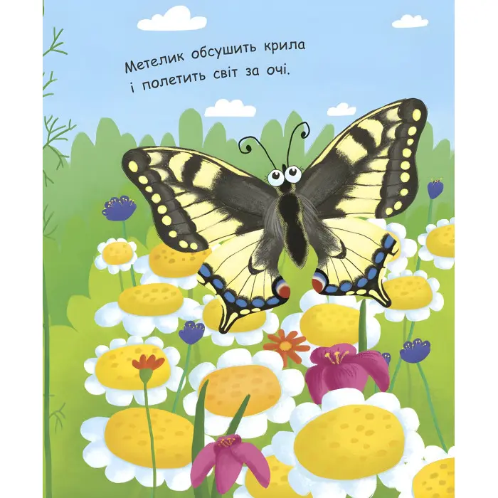 Моя перша енциклопедія. Як народжується метелик?