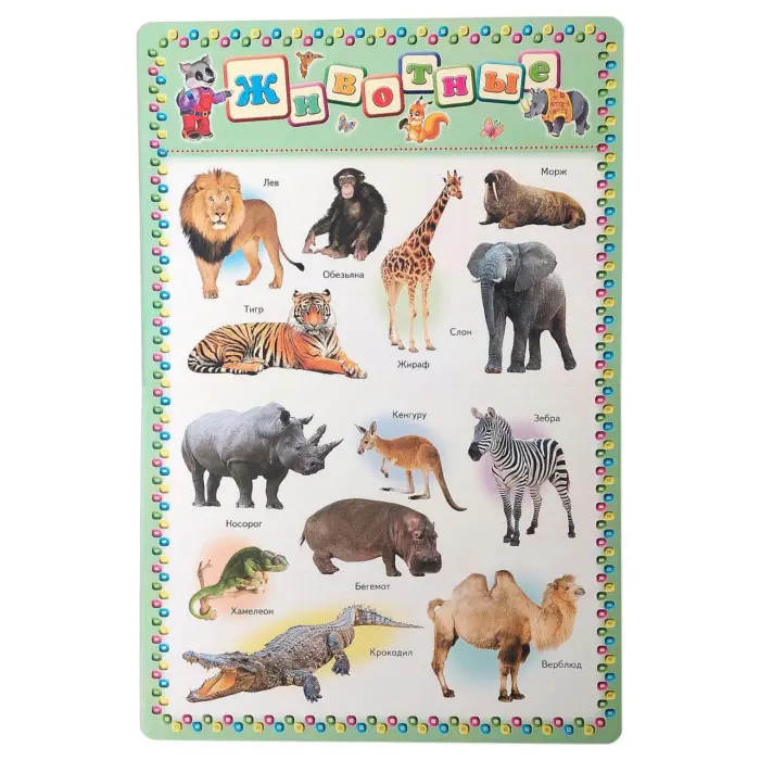 Моя перша книга. Тварини .Транспорт. Час .ENGLISH. Енциклопедія на картоні (рос) (9789669135155)