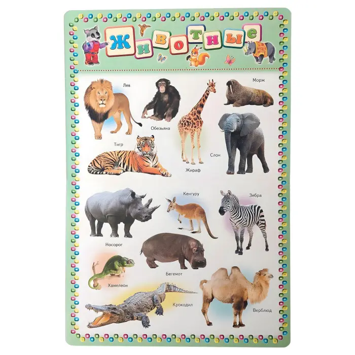 Моя перша книга. Тварини .Транспорт. Час .ENGLISH. Енциклопедія на картоні (рос) (9789669135155)