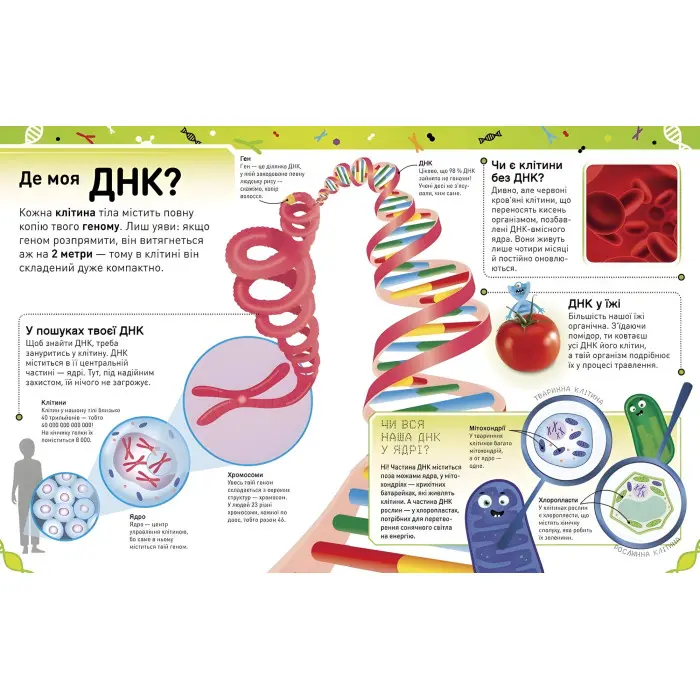 Надзвичайні ДНК. Шалені гени, незламні кодони, верткі хромосоми