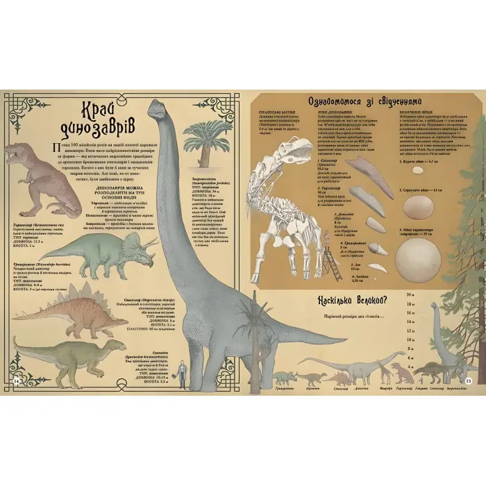 Найвища вежа, найменша зоря