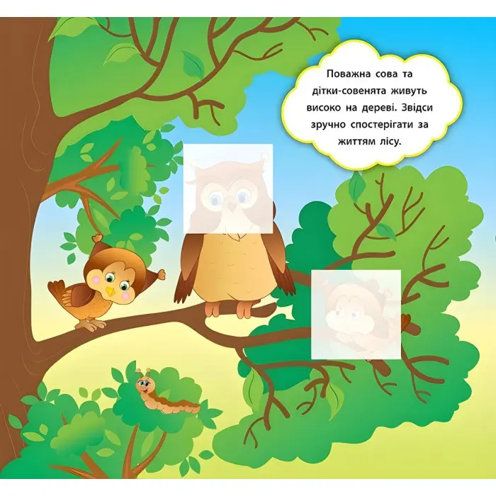 Наліпки-розвивалки. Хто живе в лісі