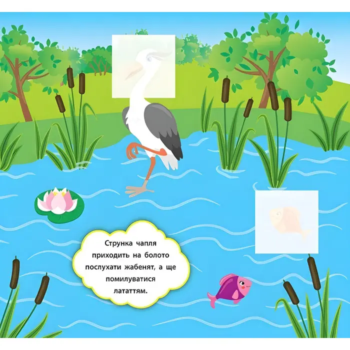 Наліпки-розвивалки. Хто живе в лісі