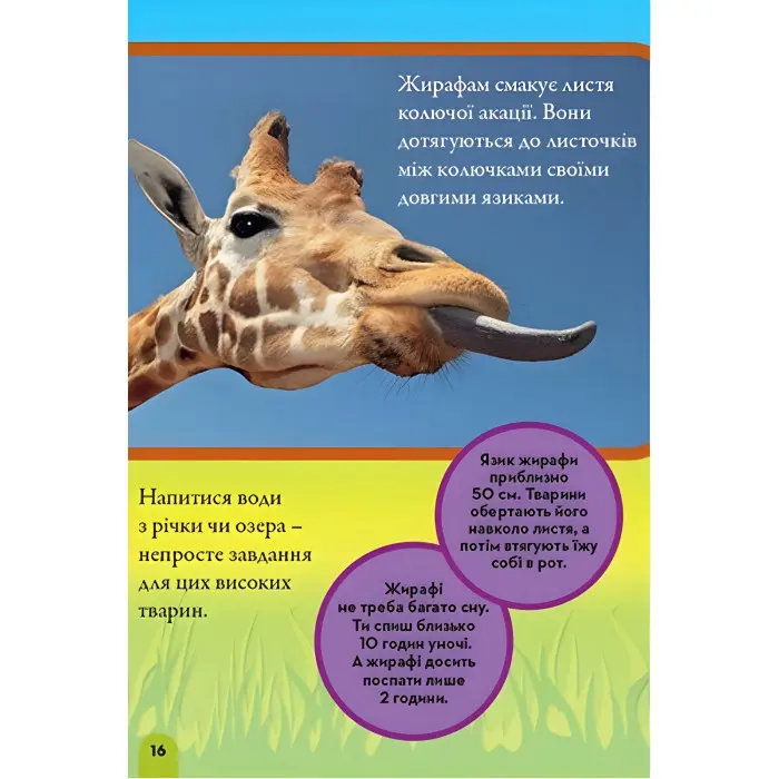 National Geographic.Моя перша енциклопедія.Тварини (9789669439963)