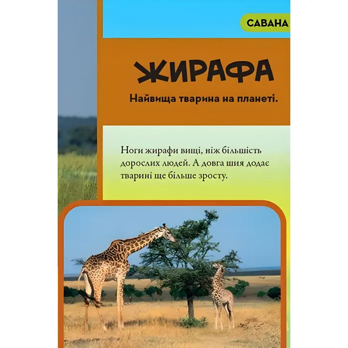 National Geographic.Моя перша енциклопедія.Тварини (9789669439963)