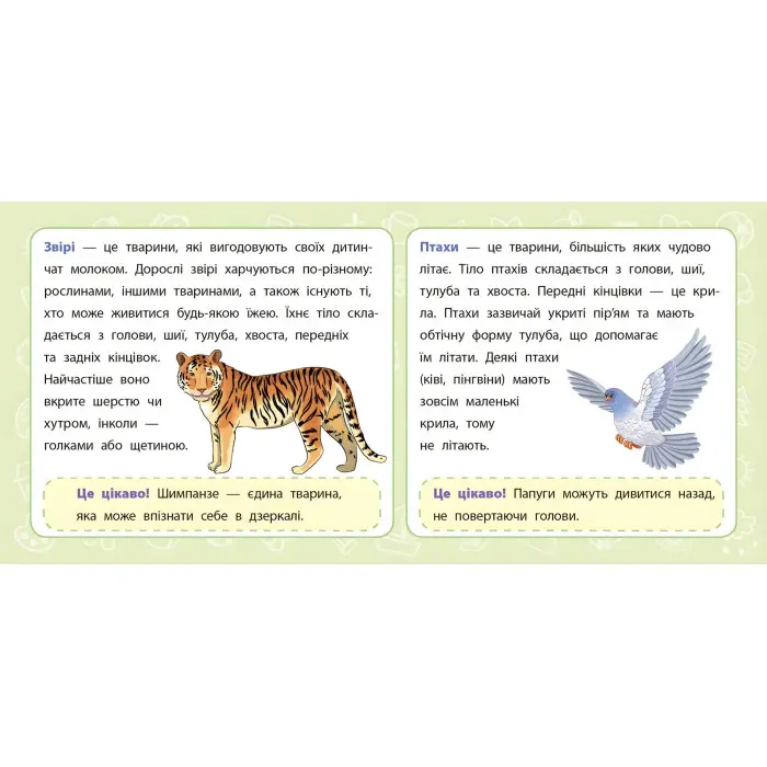 Навчальні міні-плакати. Я досліджую світ. 1 клас