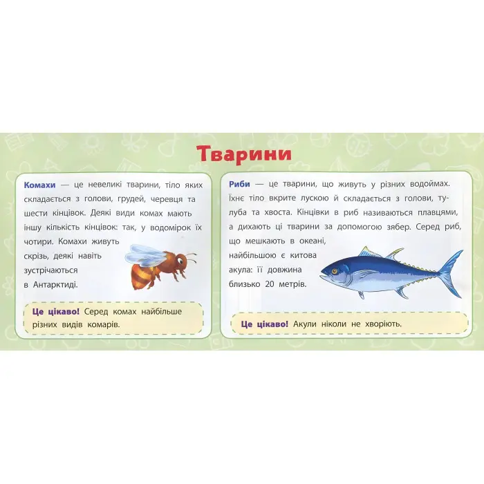 Навчальні міні-плакати. Я досліджую світ. 1 клас