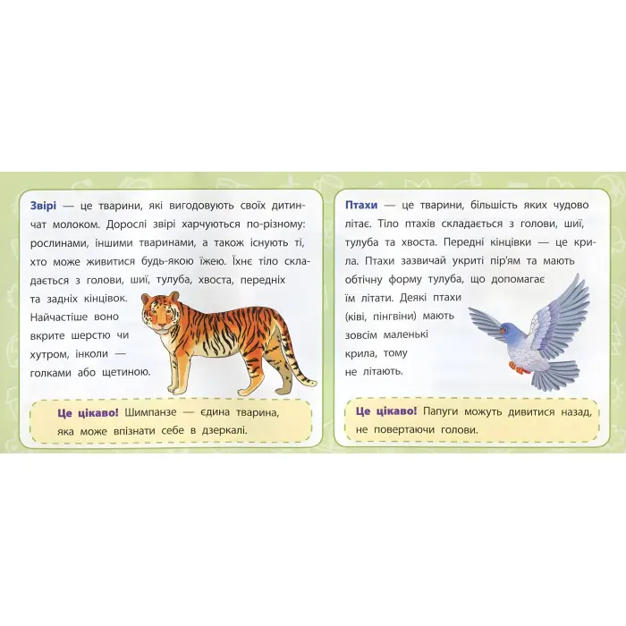 Навчальні міні-плакати. Я досліджую світ. 1 клас