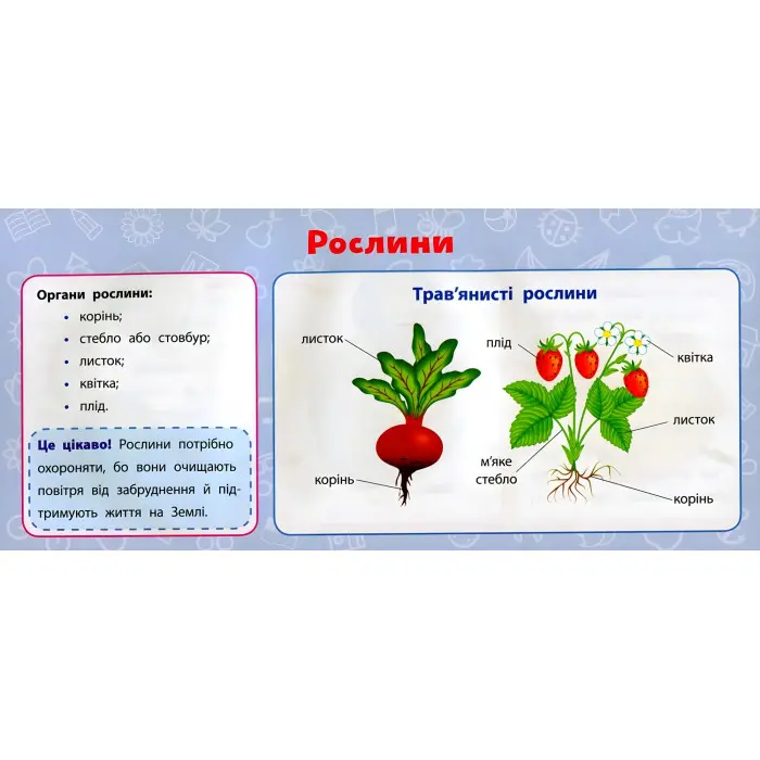 Навчальні міні-плакати. Я досліджую світ. 1 клас