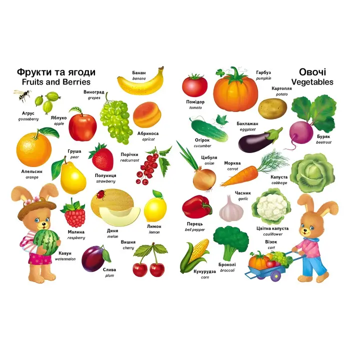 Перші слова малюка + англійська - Євгенія Новоспаська (9786178405120)