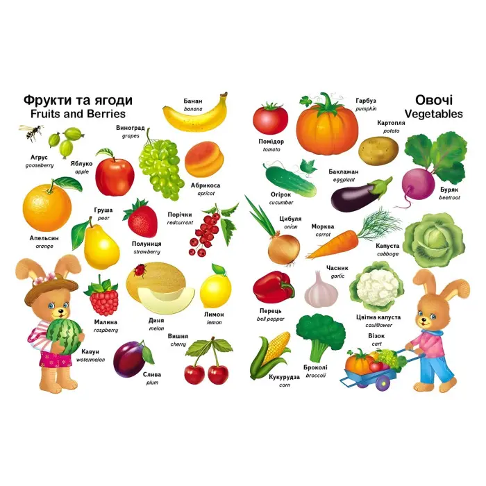 Перші слова малюка + англійська - Євгенія Новоспаська (9786178405120)