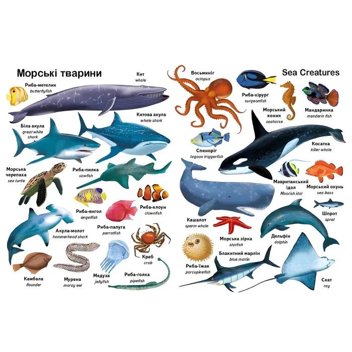 Перші слова. Тварини та англійська - Євгенія Новоспаська (9786178405113)