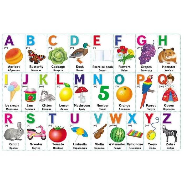 Перші знання малюка та англійська - Євгенія Новоспаська (9786178405137)