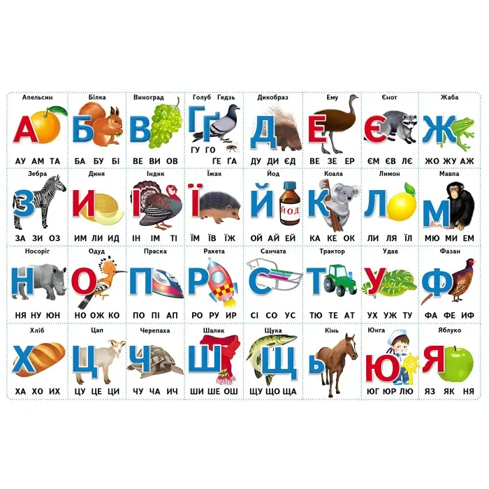 Перші знання малюка та англійська - Євгенія Новоспаська (9786178405137)