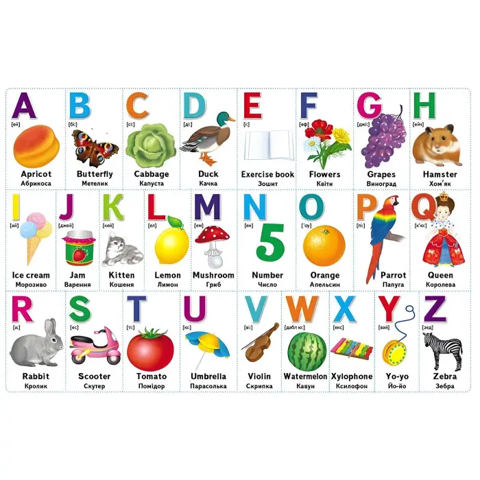 Перші знання малюка та англійська - Євгенія Новоспаська (9786178405137)