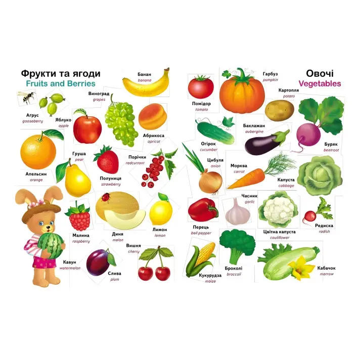 Перший словник малюка. 500 слів (9786178405427)