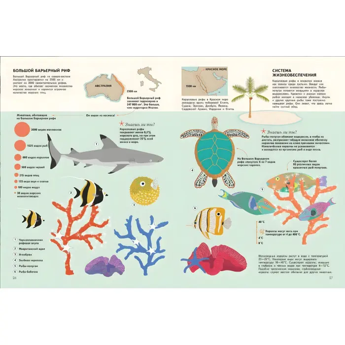 Підводний світ. Візуальний гід