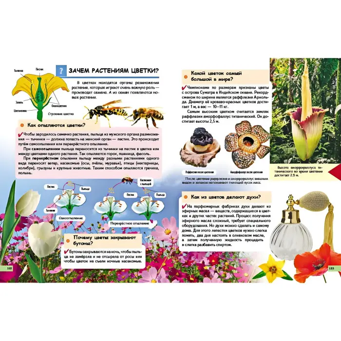 Подарункова енциклопедія «Чомучкам про все на світі» – розвиваюча книга для дітей (рос.) (9789669474858)