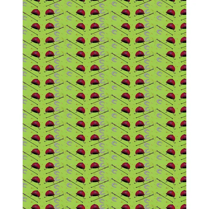 ПОНІ ТА КОНЯЧКИ КІННИЙ СПОРТ