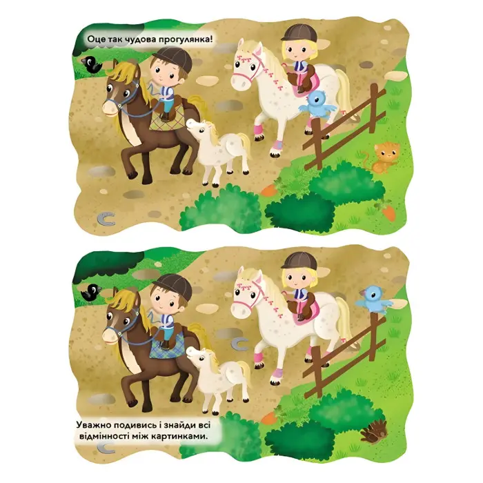 ПОНІ ТА КОНЯЧКИ КІННИЙ СПОРТ