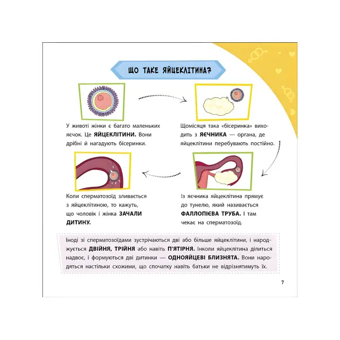 Просто про науку. Як ми з'являємося на світ