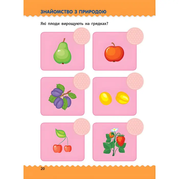 Ранок АРТ,Навчалочка. Тести з наліпками. 5-6р (у)