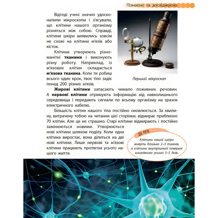 Ранок, Дитяча література,Пізнаємо та досліджуємо : Людина та її тіло (у)