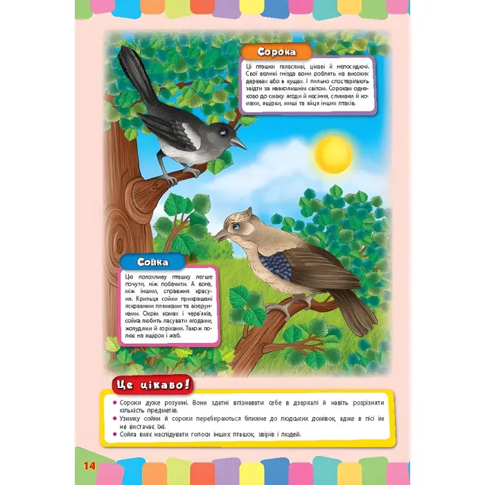 Розвивайко для малят. Дикі тварини (9789662843354)