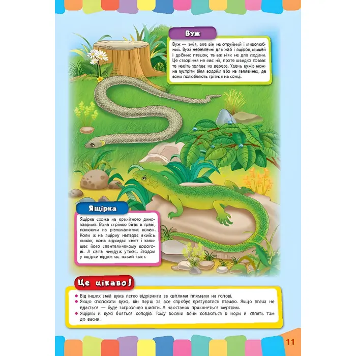 Розвивайко для малят. Дикі тварини (9789662843354)